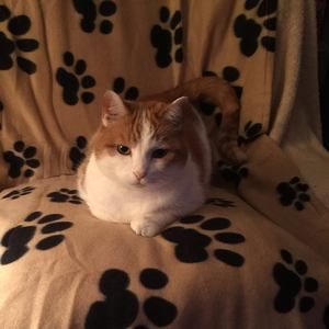 Meet your Posher, Kari